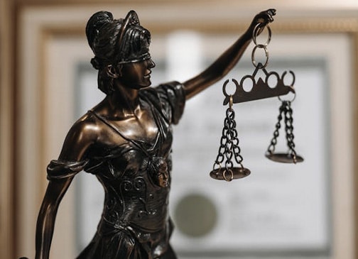 Expert Legal