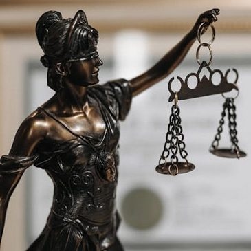 Expert Legal